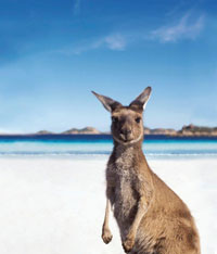 Tourism Australia Comp