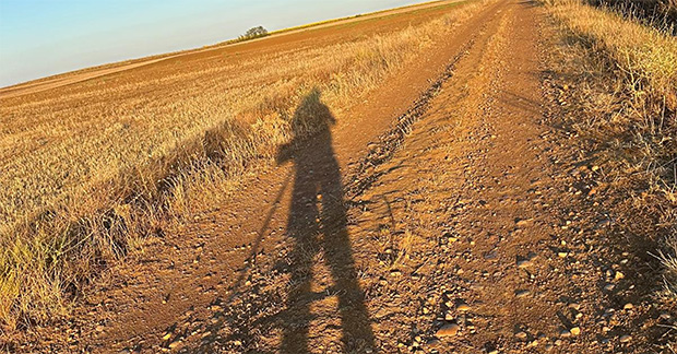 WhatsApp Image 2024-07-12 at 20.55.46