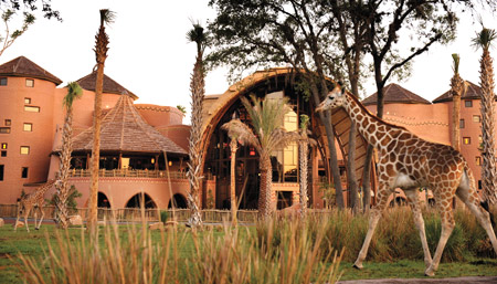 Giraffe at Kidani Village, Walt Disney World, Orlando