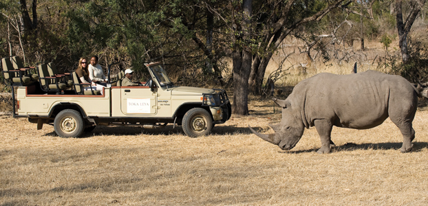 Game Drive Mosi-Oa-Tunya - Image credit: Wilderness Safaris