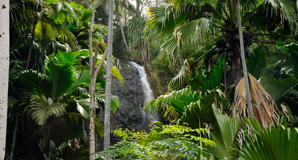 Seychelles waterfall